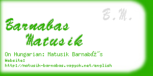 barnabas matusik business card